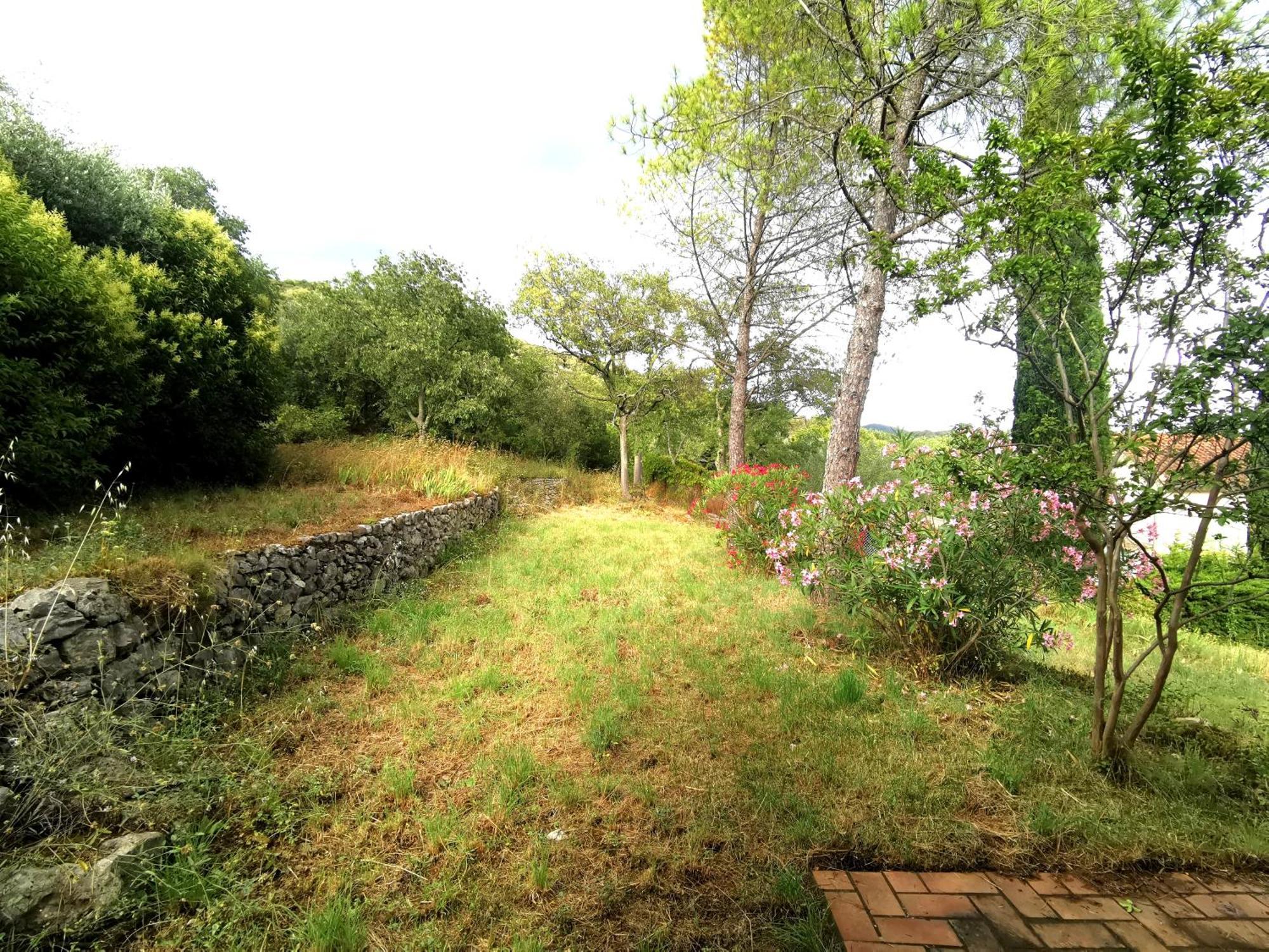 Le Mazet Des Oliviers, Vue Panoramique Βίλα Saint-Hippolyte-du-Fort Εξωτερικό φωτογραφία
